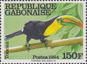 Keel-billed Toucan (Ramphastos sulfuratus)